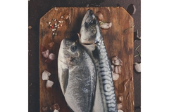 fish macheral